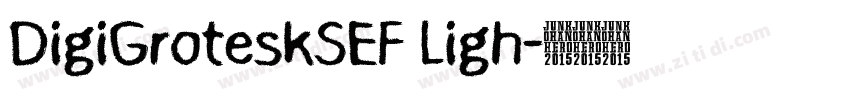DigiGroteskSEF Ligh字体转换